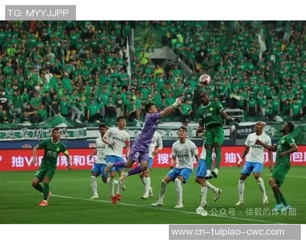 新浪体育带你走进足球人生的精彩瞬间与感人故事